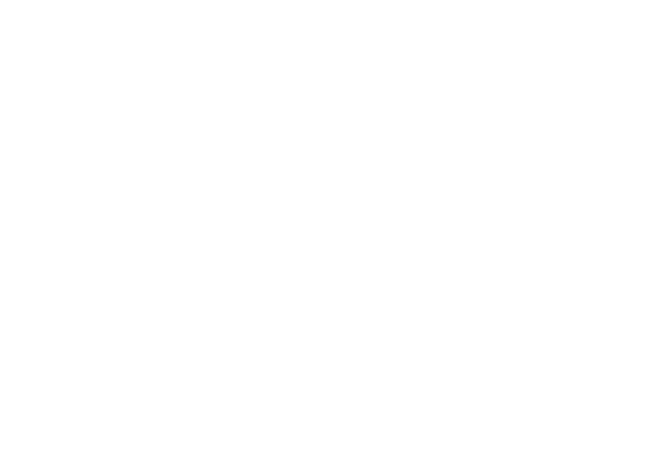 A.D.T.M. SRL
