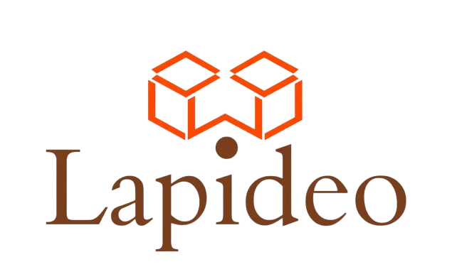 LAPIDEO MULTI SERVICES LIMITED