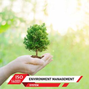 Environment Management System