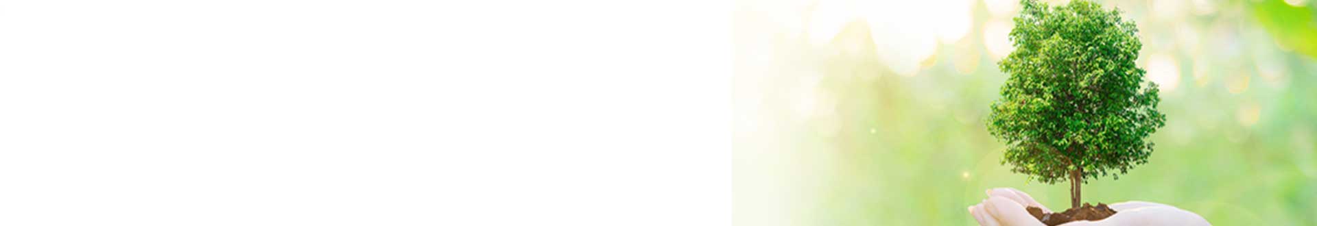 ISO 14001 News - SIS Certifications
