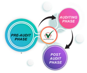 phase of environmental audit